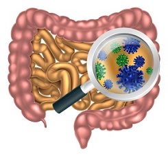 How to Improve Gut Health? Change the Gut Flora!