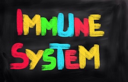 How the Immune System and Sleep Work Together